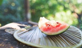 吃瓜入口视频免费观看,揭秘吃瓜入口视频的观看奥秘